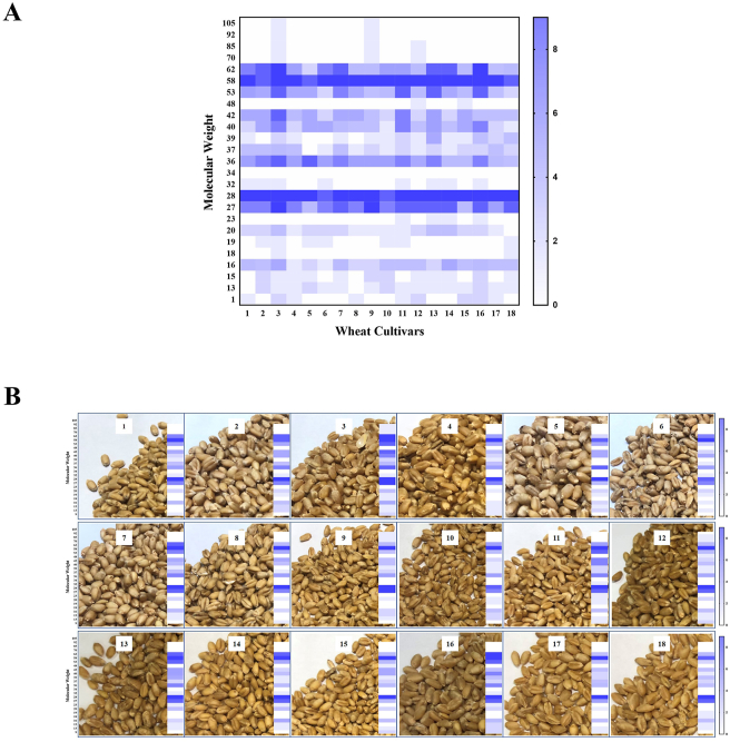 Fig. 4