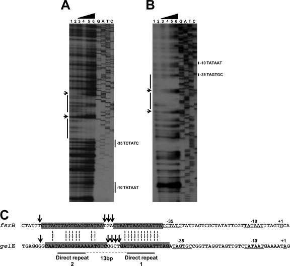 FIG. 3.