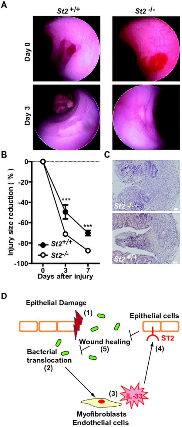 Figure 7