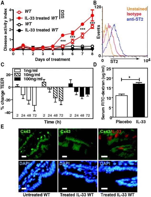 Figure 6