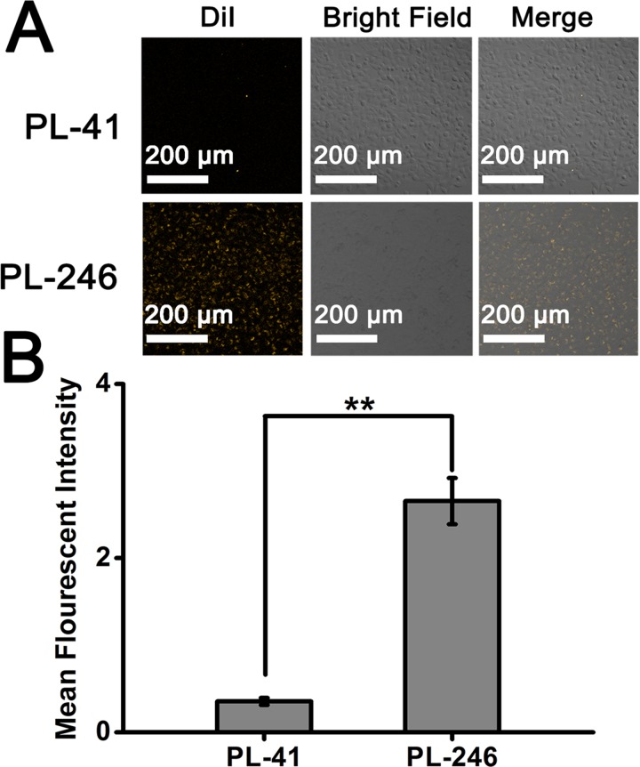 FIG. 6.