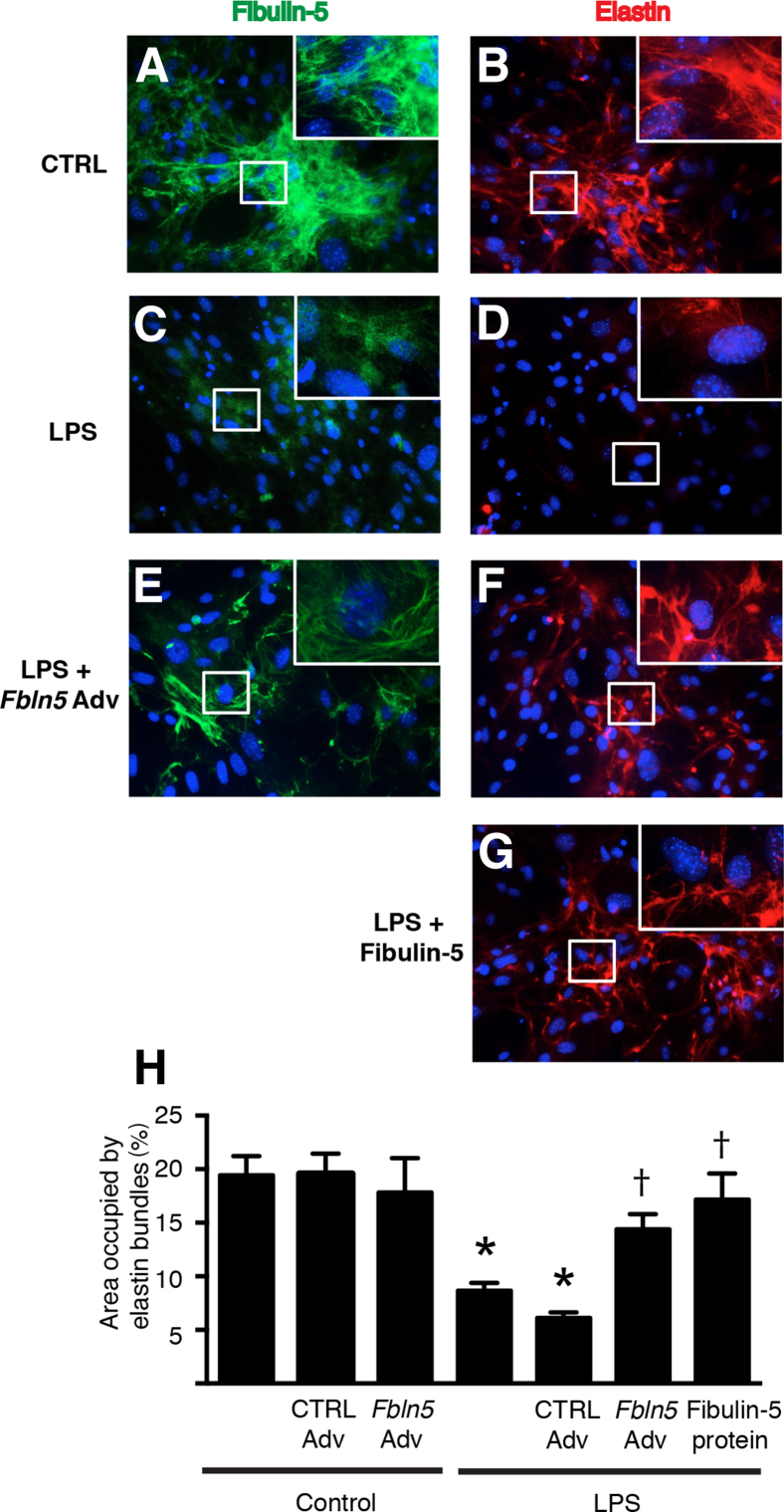 Figure 6