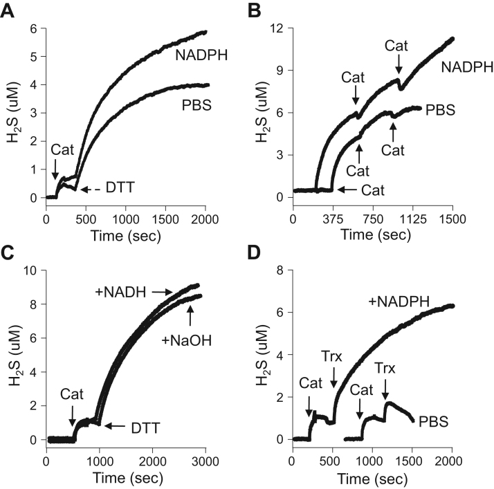 Fig. 10