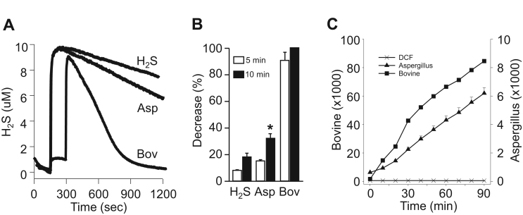 Fig. 11