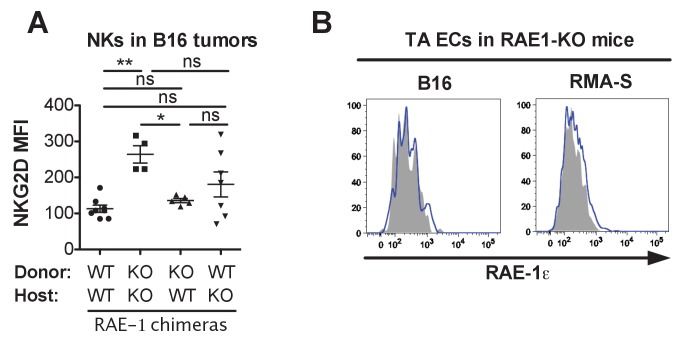 Figure 5—figure supplement 1.