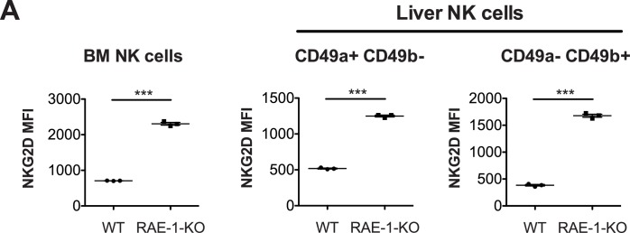 Figure 1—figure supplement 2.