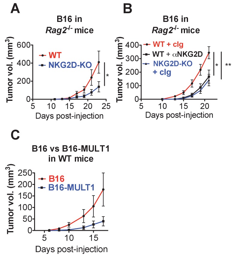 Figure 6—figure supplement 1.