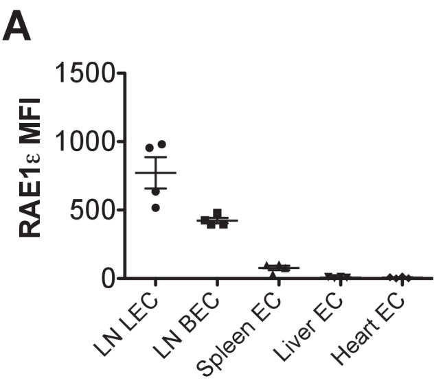 Figure 4—figure supplement 2.