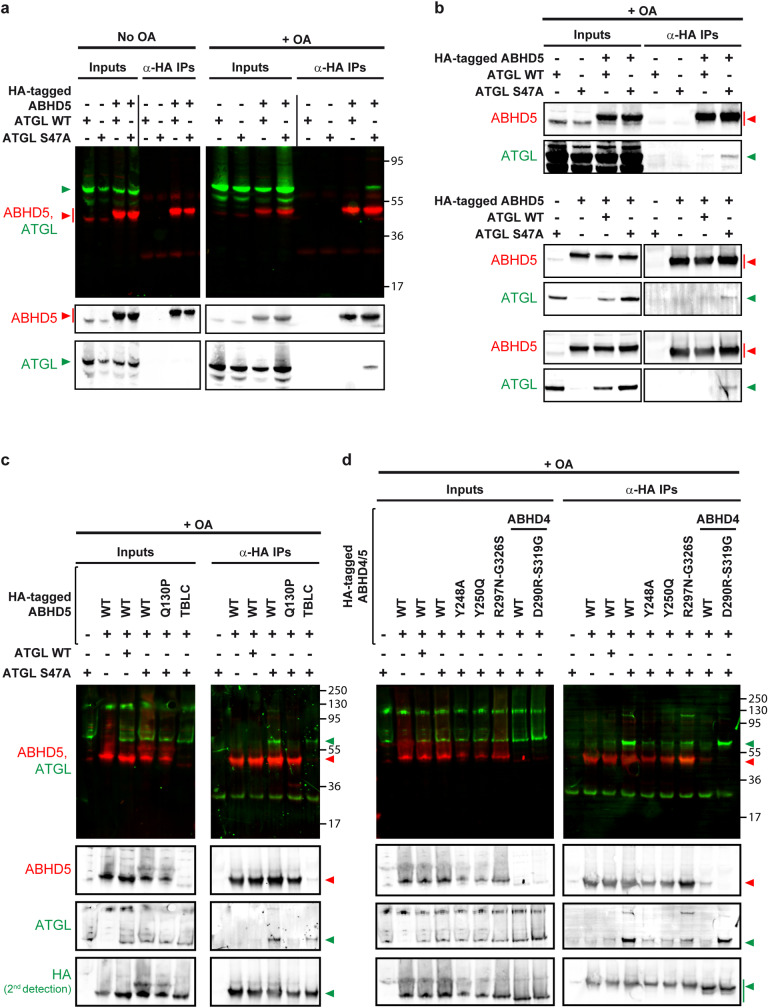 Fig 13