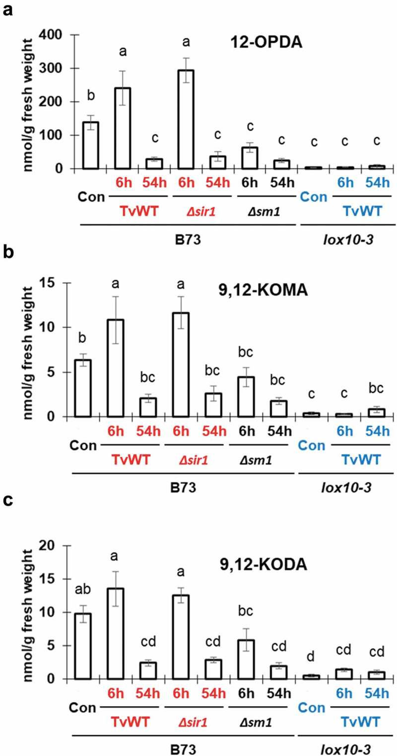 Figure 2.