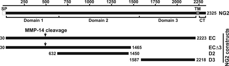 FIGURE 1.