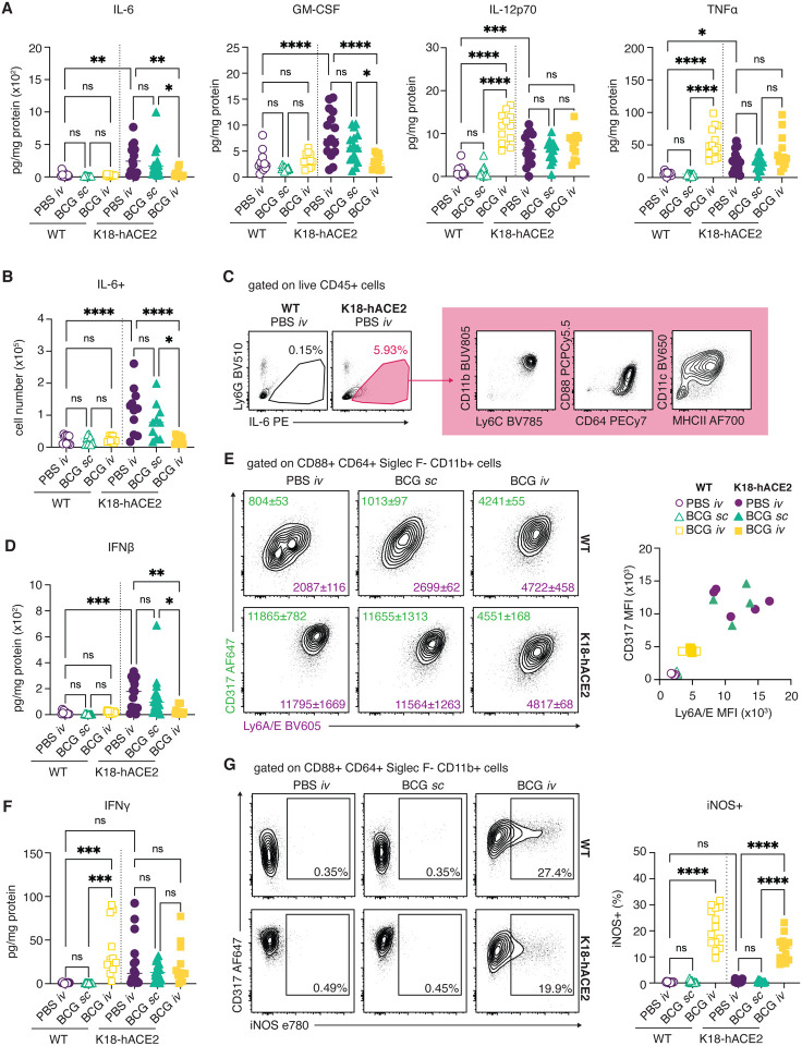 Fig 4: