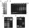 FIG. 2.