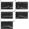 FIG. 3.