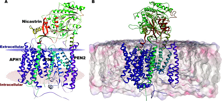 Fig. 2