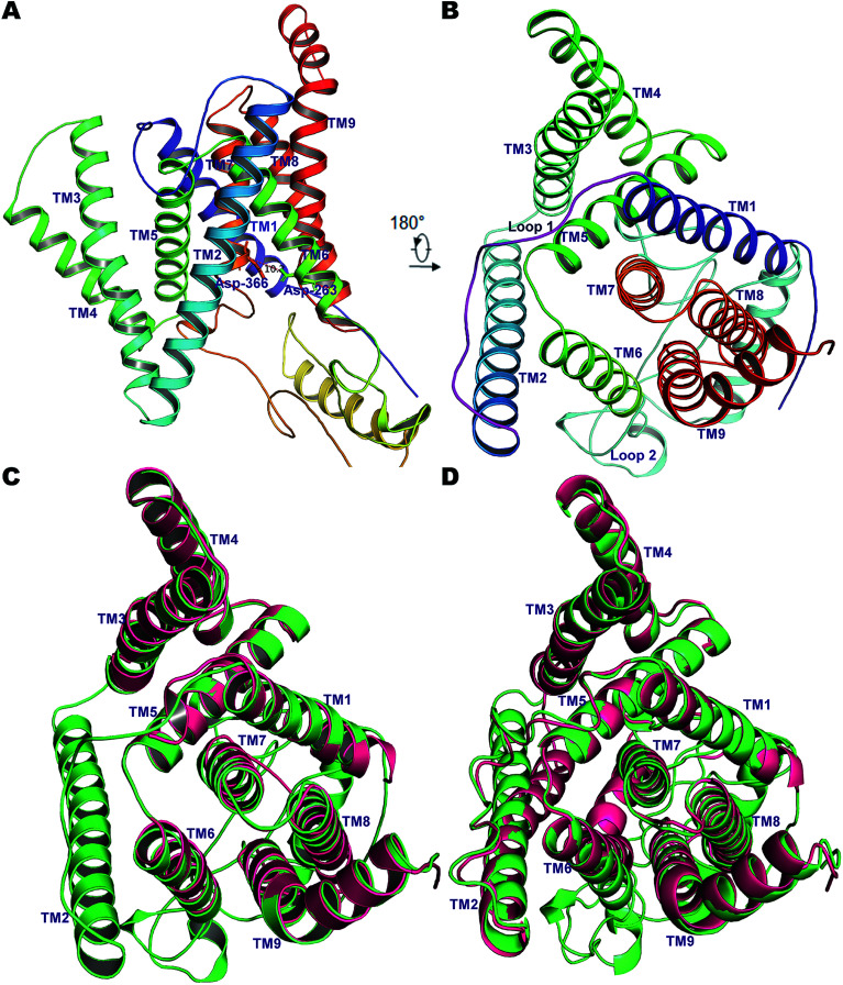 Fig. 1