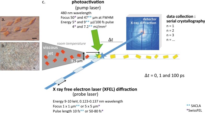 Extended Data Fig. 2