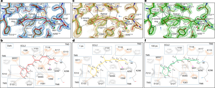 Fig. 3