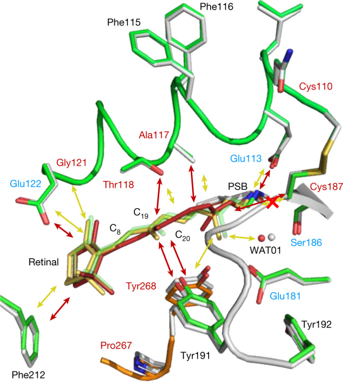 Fig. 4