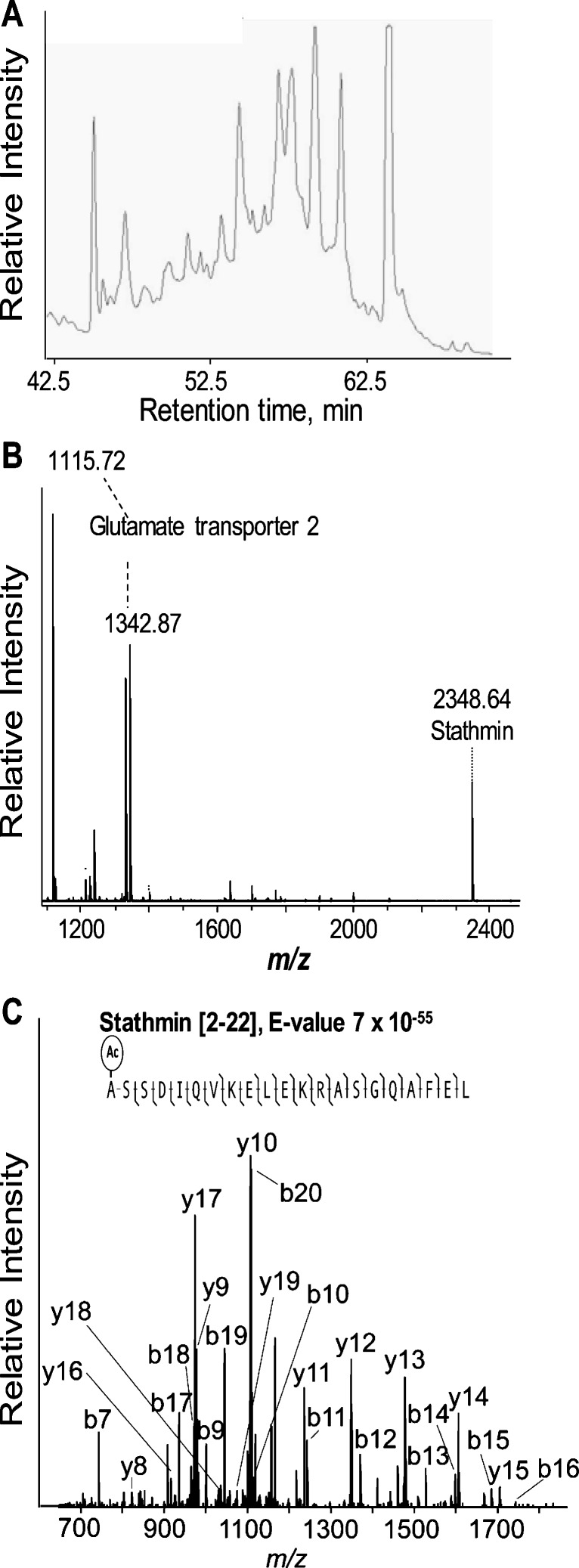 Fig. 6