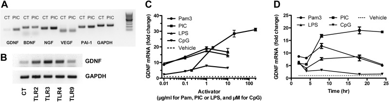 Figure 2.