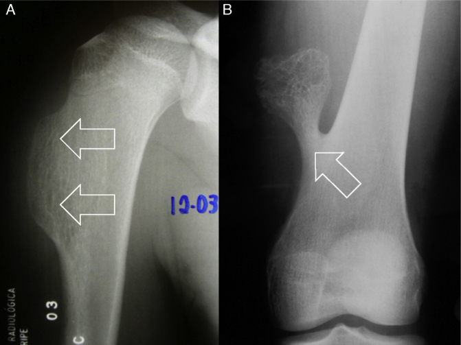 Fig. 8