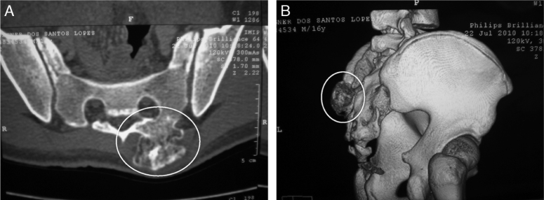 Fig. 10