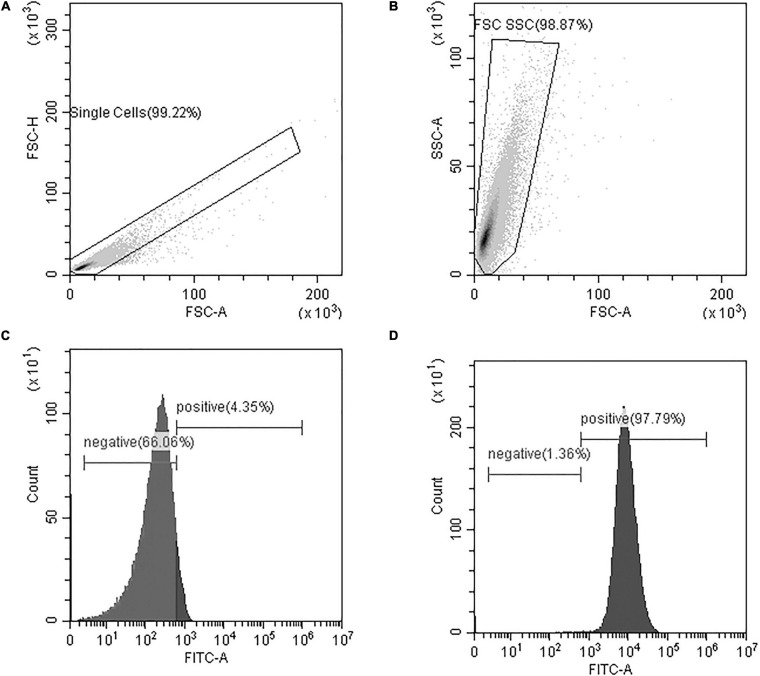 FIGURE 4