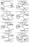 FIG. 6