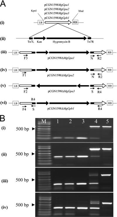 FIG. 1.