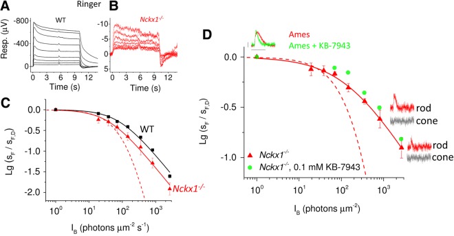 Figure 6.