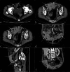 Fig. 4