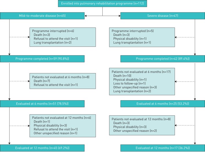 FIGURE 1