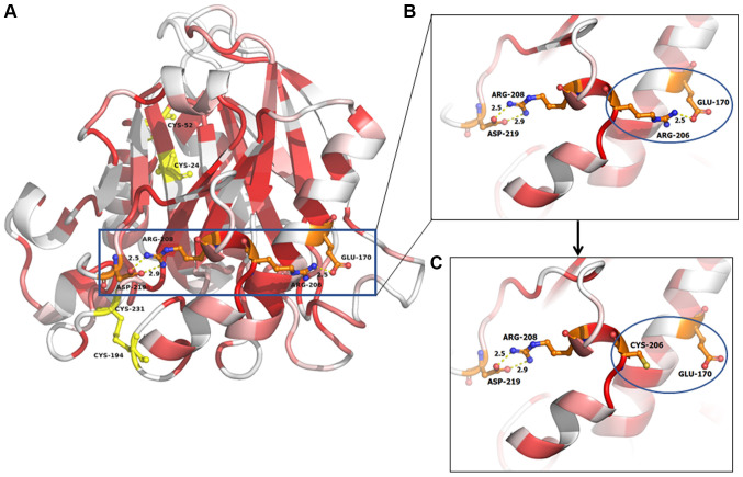 Figure 3.