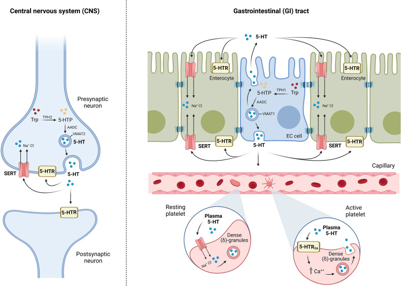 Figure 1