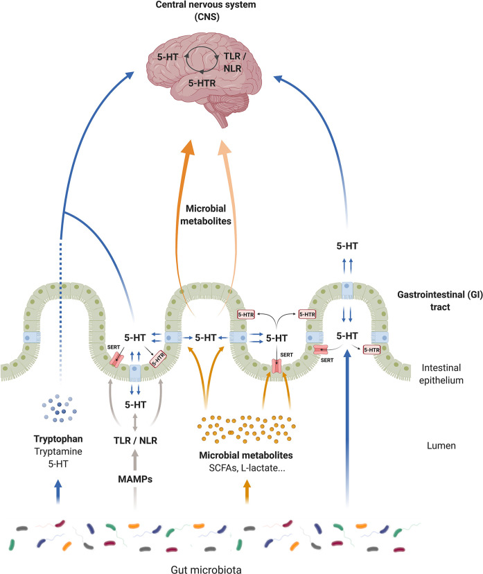 Figure 2