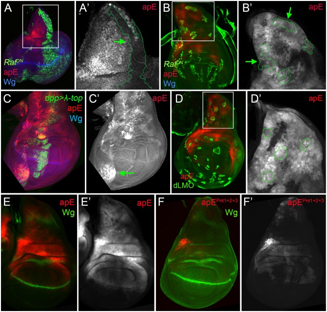 Fig 4