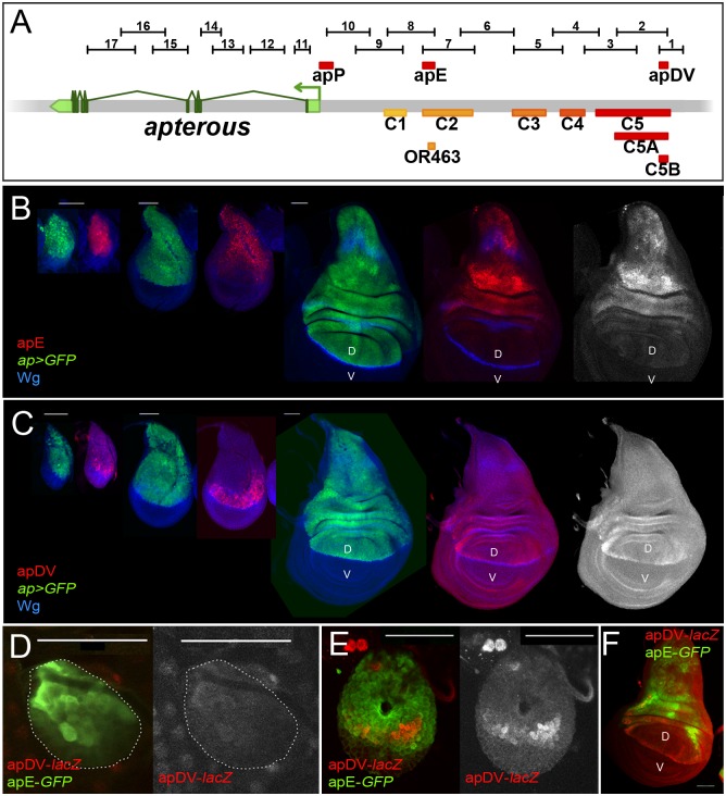 Fig 3