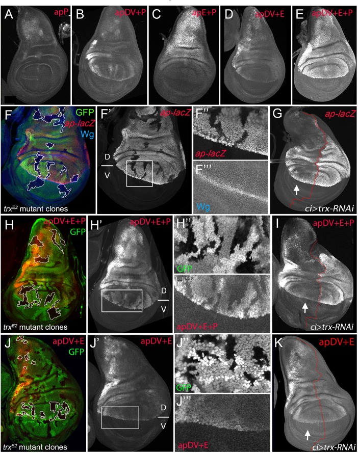 Fig 6