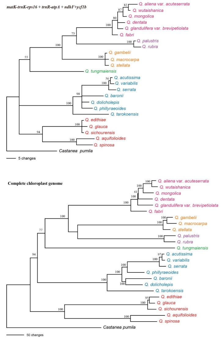 Figure 5