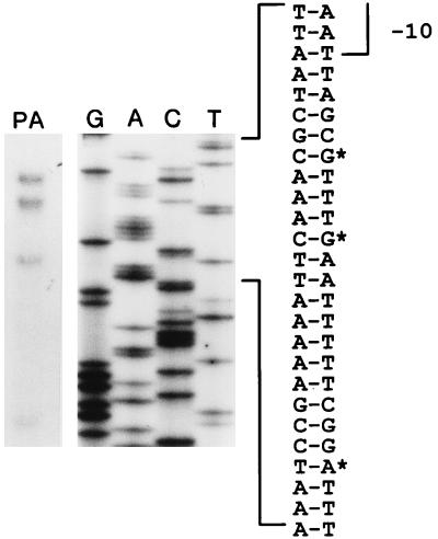 FIG. 3