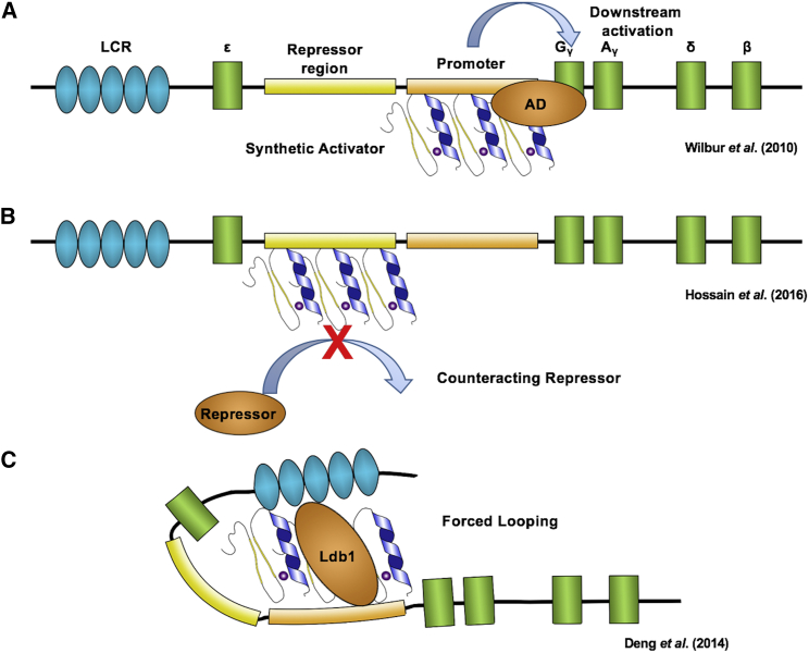 Figure 4