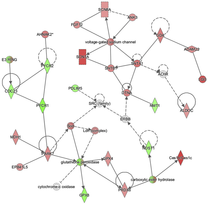 Supplementary Fig. 2