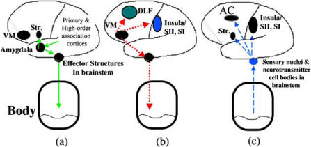 Fig. (1)