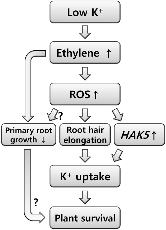 Figure 9.