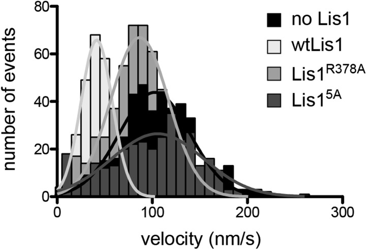 Figure 2—figure supplement 2.