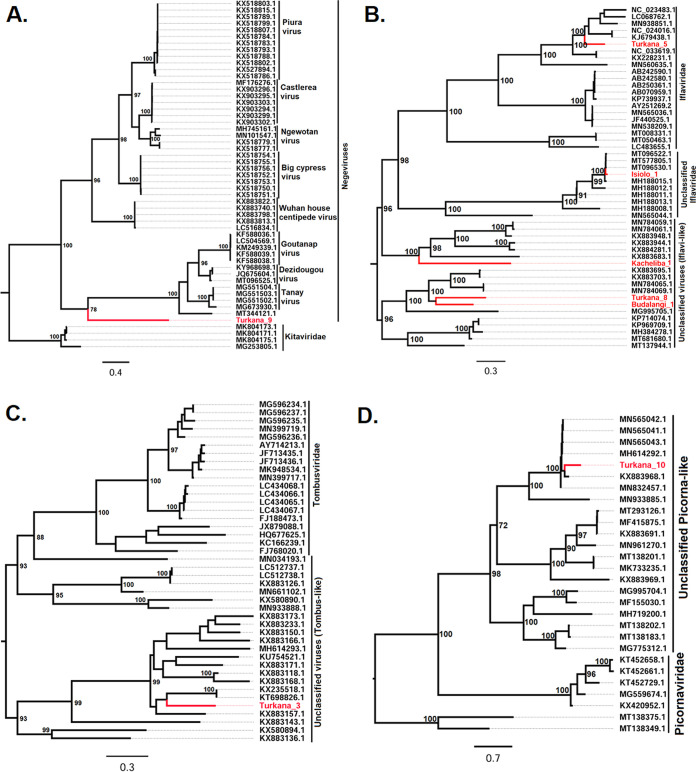 FIG 2