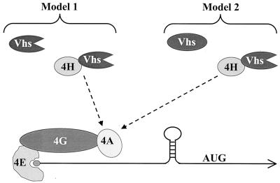 FIG. 7.