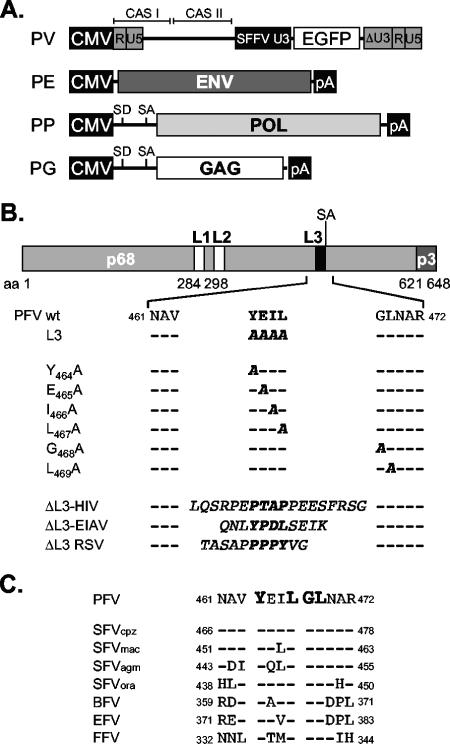 FIG. 1.