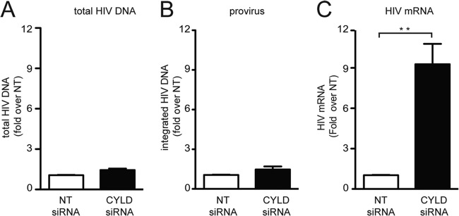 FIG 2